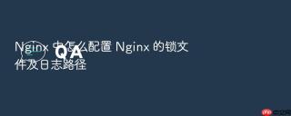 nginx 中怎么配置 nginx 的锁文件及日志路径