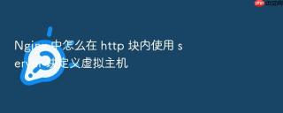 Nginx 中怎么在 http 块内使用 server 块定义虚拟主机