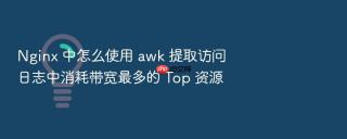 nginx 中怎么使用 awk 提取访问日志中消耗带宽最多的 top 资源