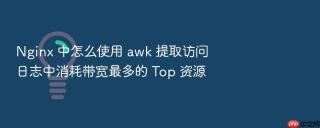Nginx 中怎么使用 awk 提取访问日志中消耗带宽最多的 Top 资源