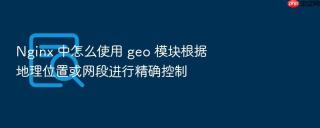 Nginx 中怎么使用 geo 模块根据地理位置或网段进行精确控制