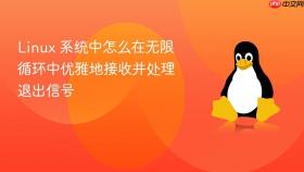 linux 系统中怎么在无限循环中优雅地接收并处理退出信号