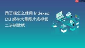 网页端怎么使用 indexeddb 缓存大量图片或视频二进制数据