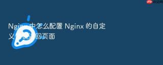 Nginx 中怎么配置 Nginx 的自定义错误返回页面