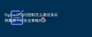 Nginx IP访问控制怎么测试多实例集群下的安全策略同步