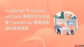 JavaScript 中 structuredClone 深拷贝怎么在处理 TypedArray 强类型数组时保持类型
