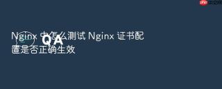 Nginx 中怎么测试 Nginx 证书配置是否正确生效