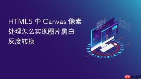html5 中 canvas 像素处理怎么实现图片黑白灰度转换