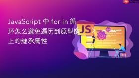 JavaScript 中 for in 循环怎么避免遍历到原型链上的继承属性