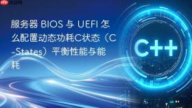 服务器 bios 与 uefi 怎么配置动态功耗c状态(c-states)平衡性能与能耗