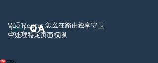 Vue Router 怎么在路由独享守卫中处理特定页面权限