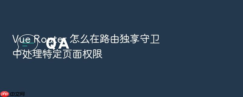 vue router 怎么在路由独享守卫中处理特定页面权限