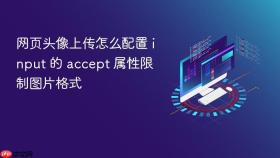 网页头像上传怎么配置 input 的 accept 属性限制图片格式