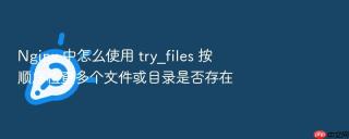 nginx 中怎么使用 try_files 按顺序检查多个文件或目录是否存在