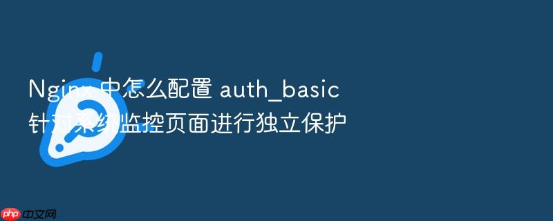 nginx 中怎么配置 auth_basic 针对系统监控页面进行独立保护