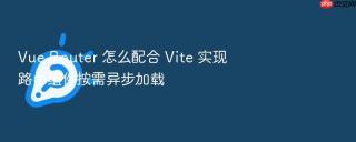 Vue Router 怎么配合 Vite 实现路由组件按需异步加载