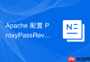 Apache 配置 ProxyPassReverse 怎么确保内外网路径一致