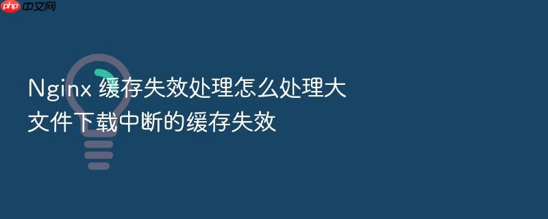 nginx 缓存失效处理怎么处理大文件下载中断的缓存失效
