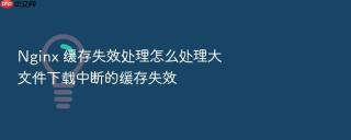 nginx 缓存失效处理怎么处理大文件下载中断的缓存失效
