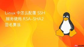 linux 中怎么配置 ssh 服务使用 rsa-sha2 签名算法