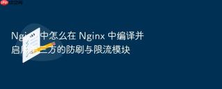 nginx 中怎么在 nginx 中编译并启用第三方的防刷与限流模块
