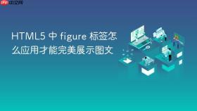 html5 中 figure 标签怎么应用才能完美展示图文