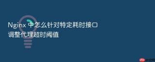 Nginx 中怎么针对特定耗时接口调整代理超时阈值