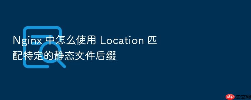 nginx 中怎么使用 location 匹配特定的静态文件后缀
