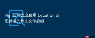 nginx 中怎么使用 location 匹配特定的静态文件后缀