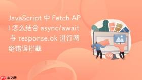 JavaScript 中 Fetch API 怎么结合 async/await 与 response.ok 进行网络错误拦截