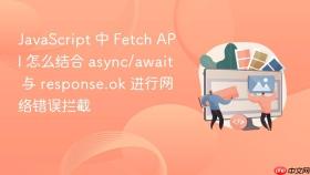javascript 中 fetch api 怎么结合 async/await 与 response.ok 进行网络错误拦截
