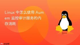 Linux 中怎么使用 Aumem 监控审计服务的内存消耗