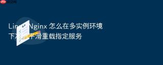 linux nginx 怎么在多实例环境下准确平滑重载指定服务