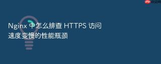 nginx 中怎么排查 https 访问速度变慢的性能瓶颈