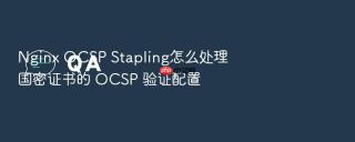 Nginx OCSP Stapling怎么处理国密证书的 OCSP 验证配置