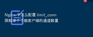 nginx 中怎么配置 limit_conn 限制单个下载客户端的通道数量