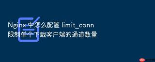 Nginx 中怎么配置 limit_conn 限制单个下载客户端的通道数量