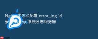 Nginx 中怎么配置 error_log 记录到 Syslog 系统日志服务器
