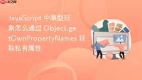 javascript 中原型对象怎么通过 object.getownpropertynames 获取私有属性