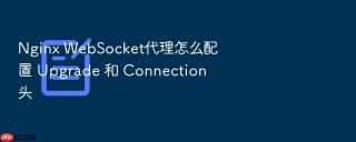 nginx websocket代理怎么配置 upgrade 和 connection 头