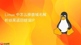 Linux 中怎么排查域名解析结果返回错误IP