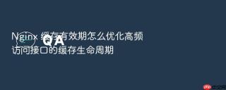 Nginx 缓存有效期怎么优化高频访问接口的缓存生命周期