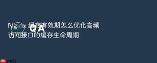nginx 缓存有效期怎么优化高频访问接口的缓存生命周期
