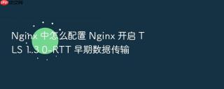 nginx 中怎么配置 nginx 开启 tls 1.3 0-rtt 早期数据传输