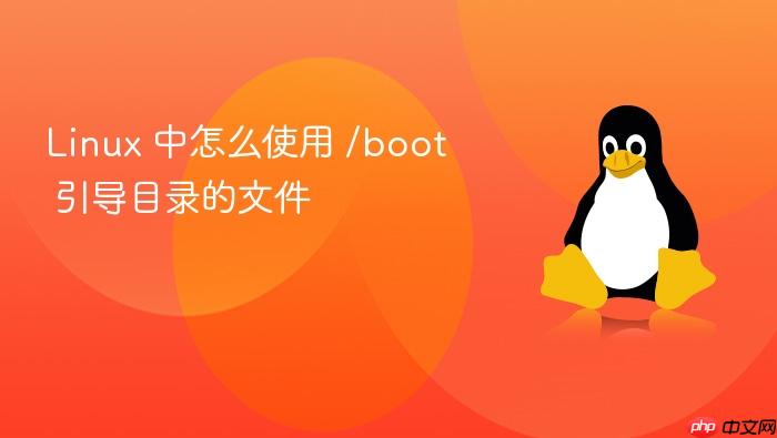 linux 中怎么使用 /boot 引导目录的文件