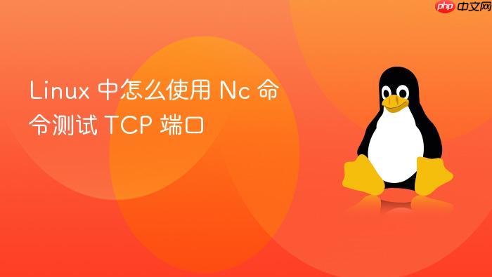 linux 中怎么使用 nc 命令测试 tcp 端口