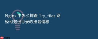 nginx 中怎么排查 try_files 路径相对根目录的挂载偏移