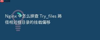 Nginx 中怎么排查 Try_files 路径相对根目录的挂载偏移