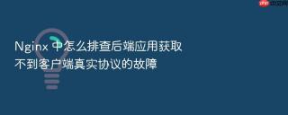 Nginx 中怎么排查后端应用获取不到客户端真实协议的故障