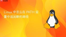 linux 中怎么在 path 变量中追加新的路径